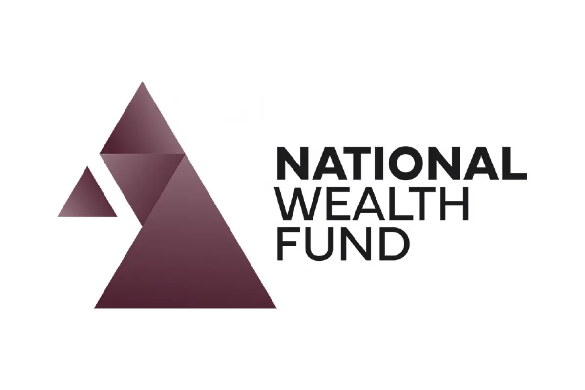 National Wealth Fund logo